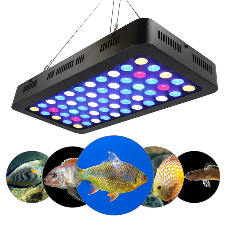 구매 Led 수족관 빛 55*3w 디밍 수족관 조명 165w 물고기 탱크 램프 산호초 수생 램프 빨간색 노란색 파란색 흰색 녹색