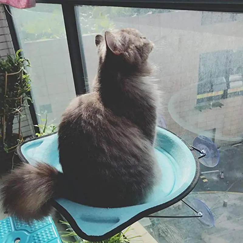 Гамак для кошки на окно, подвесная кровать EVA, подвеска для кошки, легко устанавливается для домашних животных, мягкий удобный домик для отдыха, желтый/синий/розовый