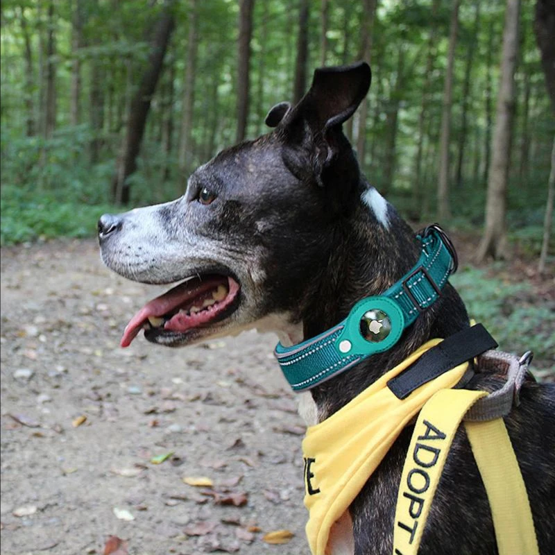 

Tracker case for Apple airtag dog positioning training collar nylon pet collar