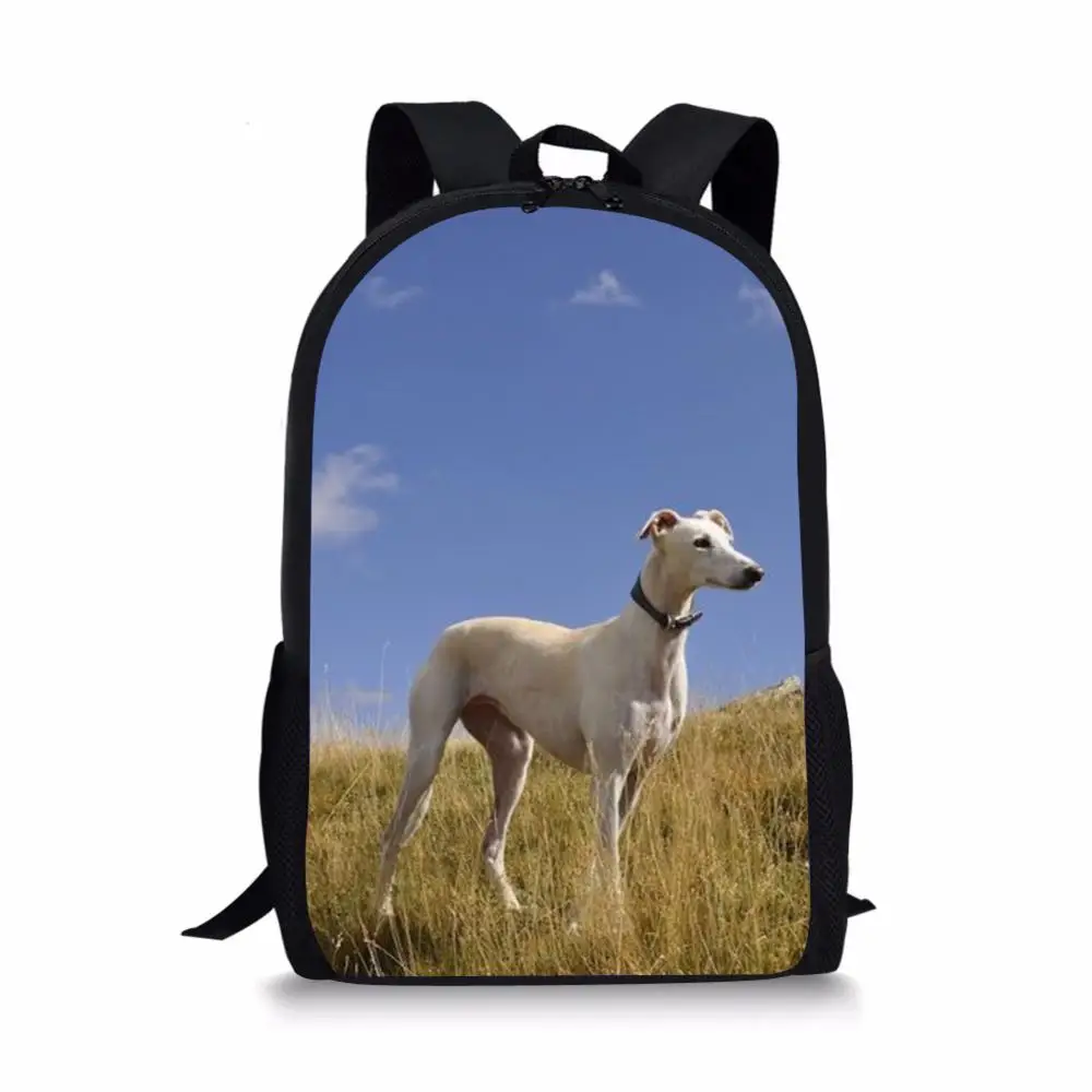 Школьные ранцы для мальчиков и девочек подростков объемные вместительные