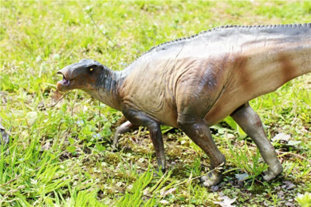 PNSO 14 5 &quotShantungosaurus Юрский большой динозавр ПВХ Реалистичная животная модель