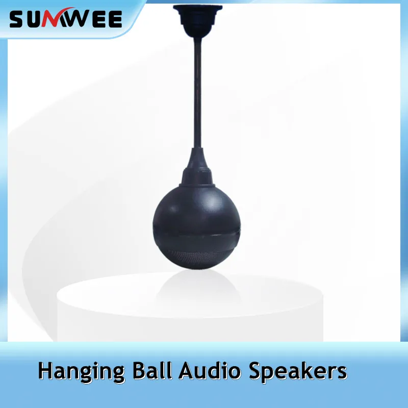 10W 15W Hanging Ball Audio Indoor Speaker Cafe Restaurant Shop Speaker Adjustable Length Broadcasting Public Audio System