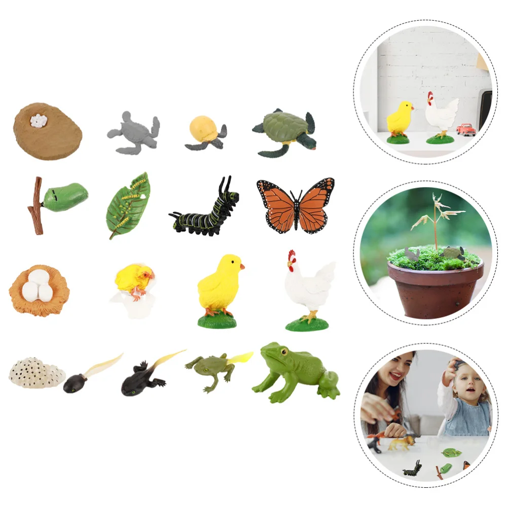 

4 Sets Animal Figurines Life Cycle Models of Butterflies Turtle Frogs Rooster