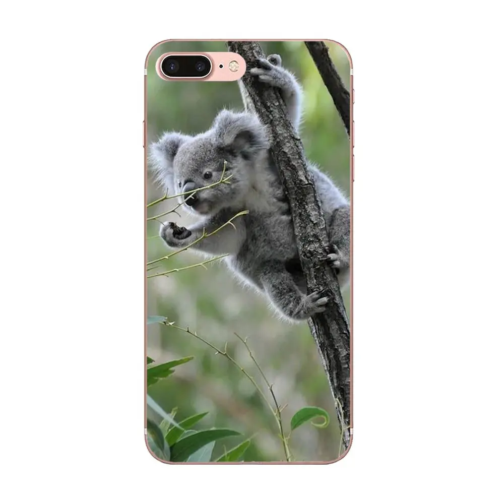 Мягкий силиконовый прозрачный популярный медведь Koala для Xiaomi Redmi Mi 4 7A 9T K20 CC9 CC9e Note 7