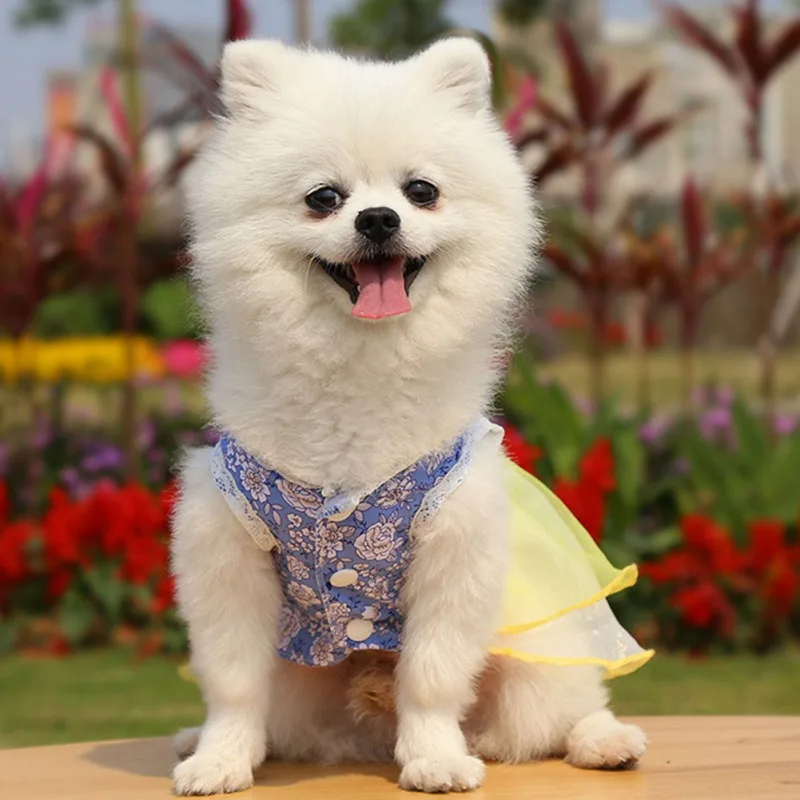 

Summer New Cute Dog Dresses For Small Chihuahua Floral Dress Skirt Puppy Cat Princess Clothes Floral Skirt Teddy Wedding Dress