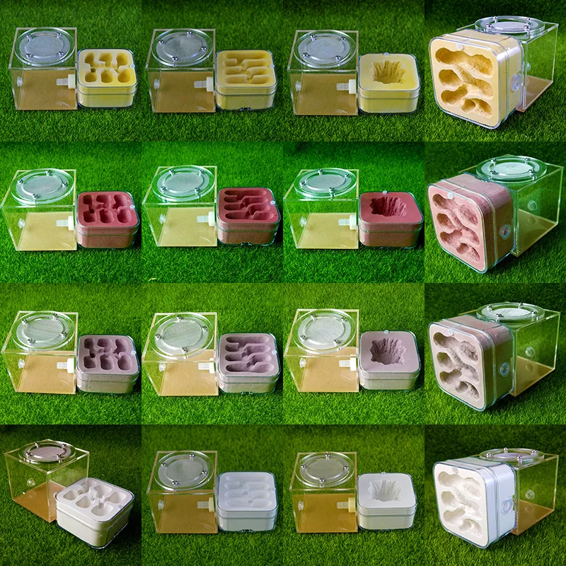 

Acrylic Combination Ant Nest Feeding and Breeding Workshop Moisturizing Nest Reptile Terrarium