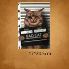 17x24,5 см модные термонаклейки с изображением плохих кошек и животных для самостоятельного нанесения тепла на одежду футболку термонаклейки декоративные принты