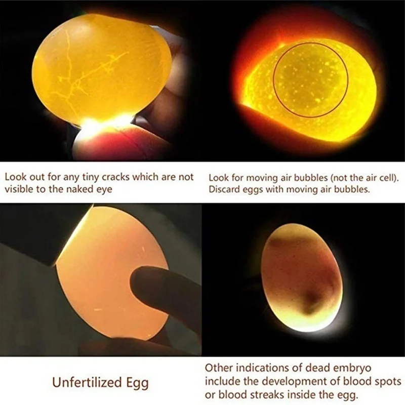 

9 Eggs Incubator Automatic Temperature Control Hatchery Brooder with LED lamp for Duck Chicken Bird Quail Incubator