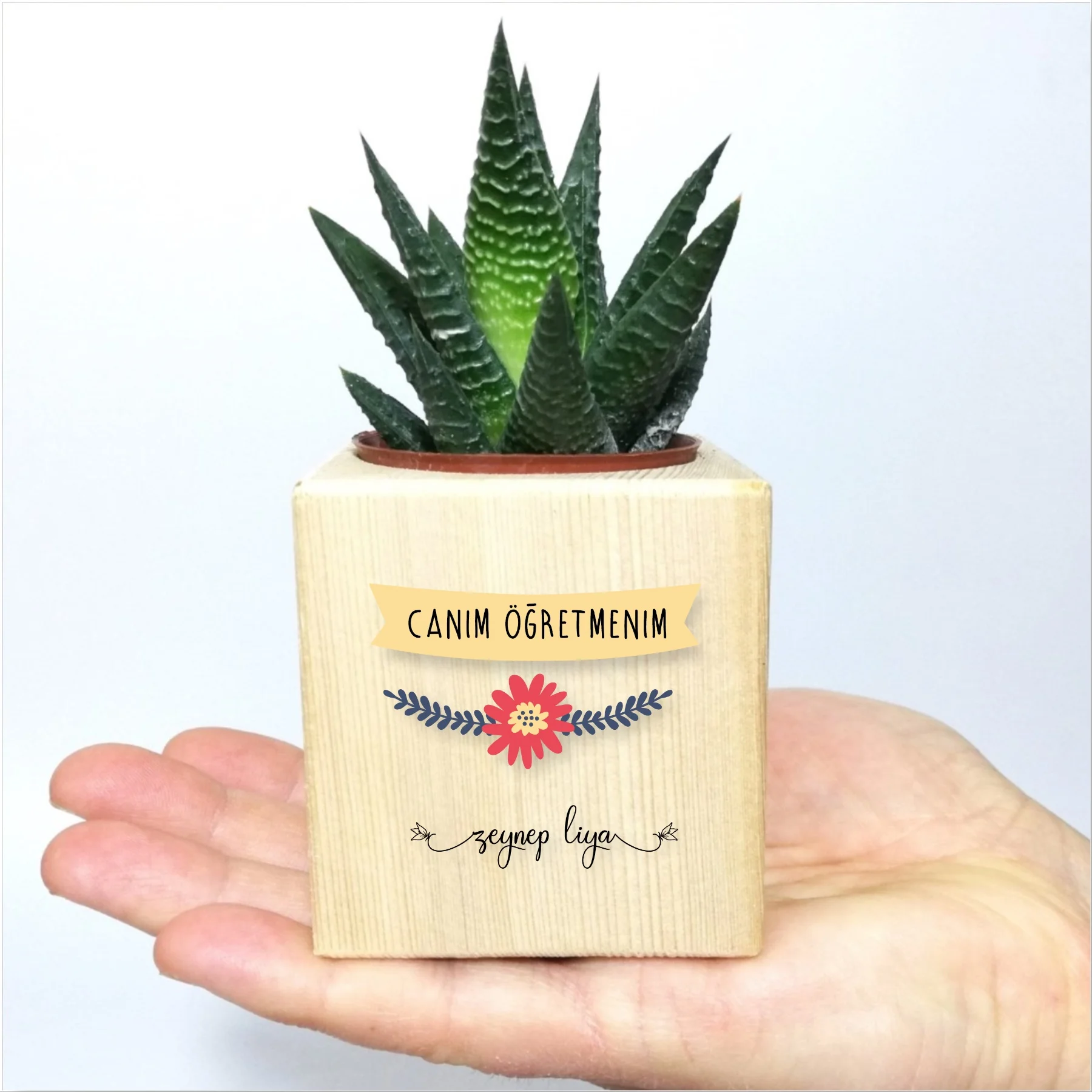 

Personalized Teacher Themed Sukulent -2 In Pots