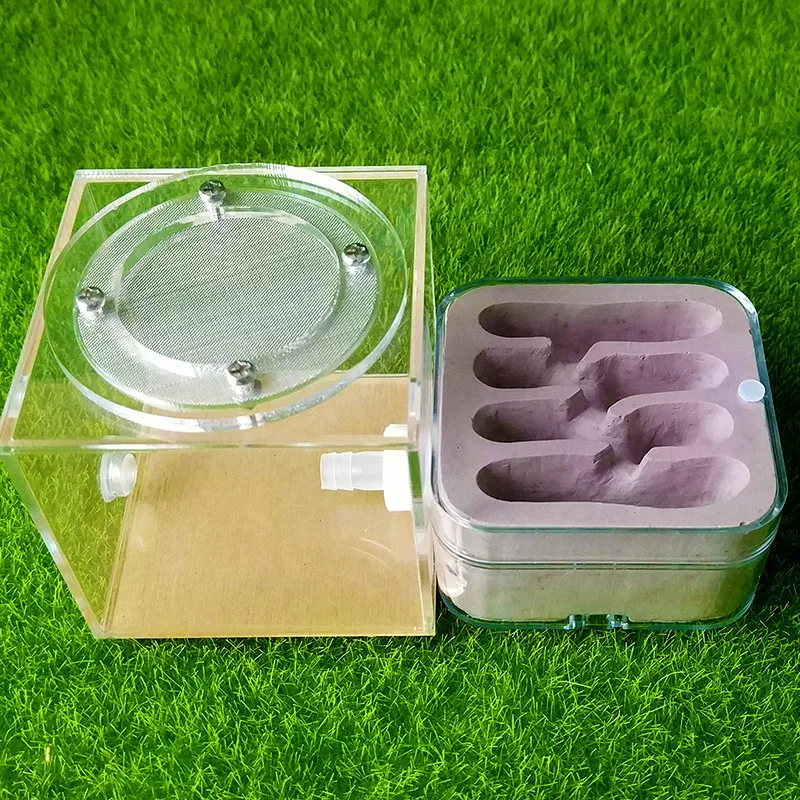 Штукатурка Муравьиное гнездо акриловая муравьиная ферма муравьев королева дом