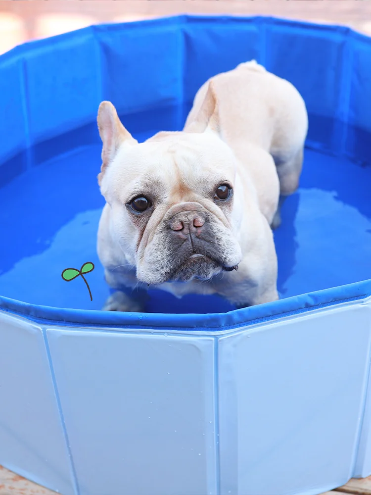 Складная Ванна для бассейна собак и домашних животных прочная маленькая средняя