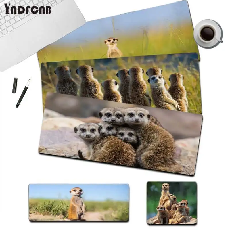 

YNDFCNB mob of meerkats Animal Cool Mouse Pad Super Creative INS Tide Large Game Size for Cs Go Game Player PC Computer Laptop