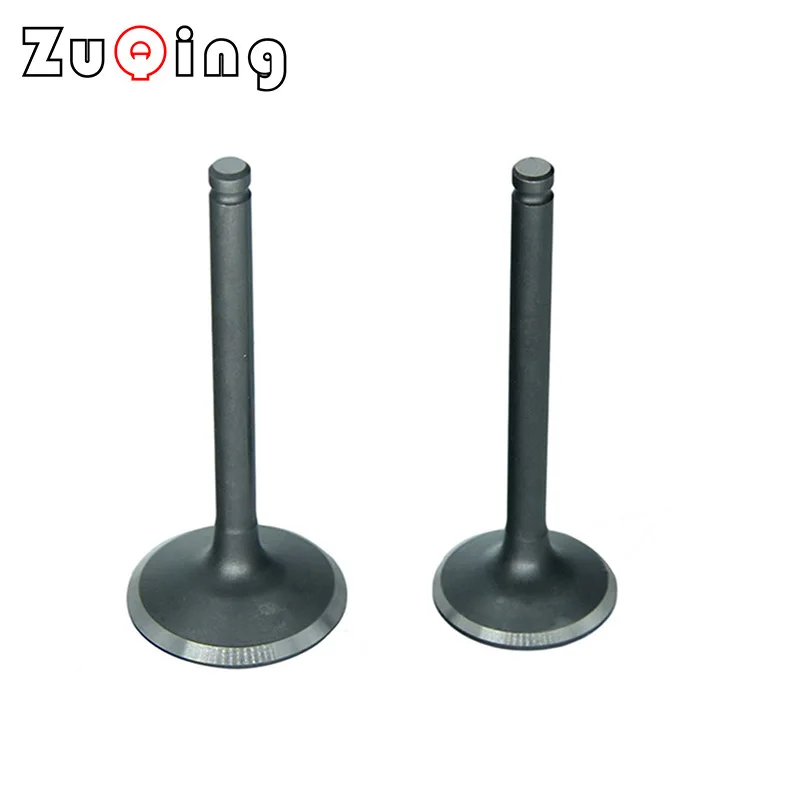 

Motorcycle Intake Valve and Exhaust Valves Set Fit For Lifan 125cc 140cc 150cc Motocross ATV Quad Bike
