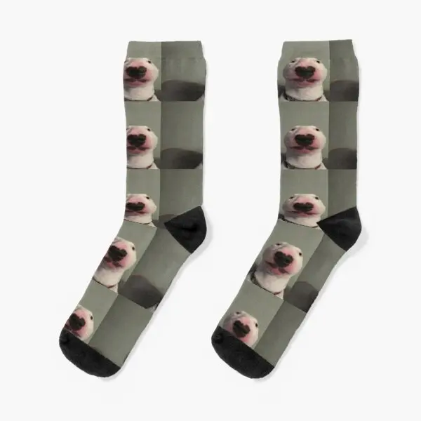

Walter The Dog Crew Socks Women Mens Ankle Knee High Best Black
