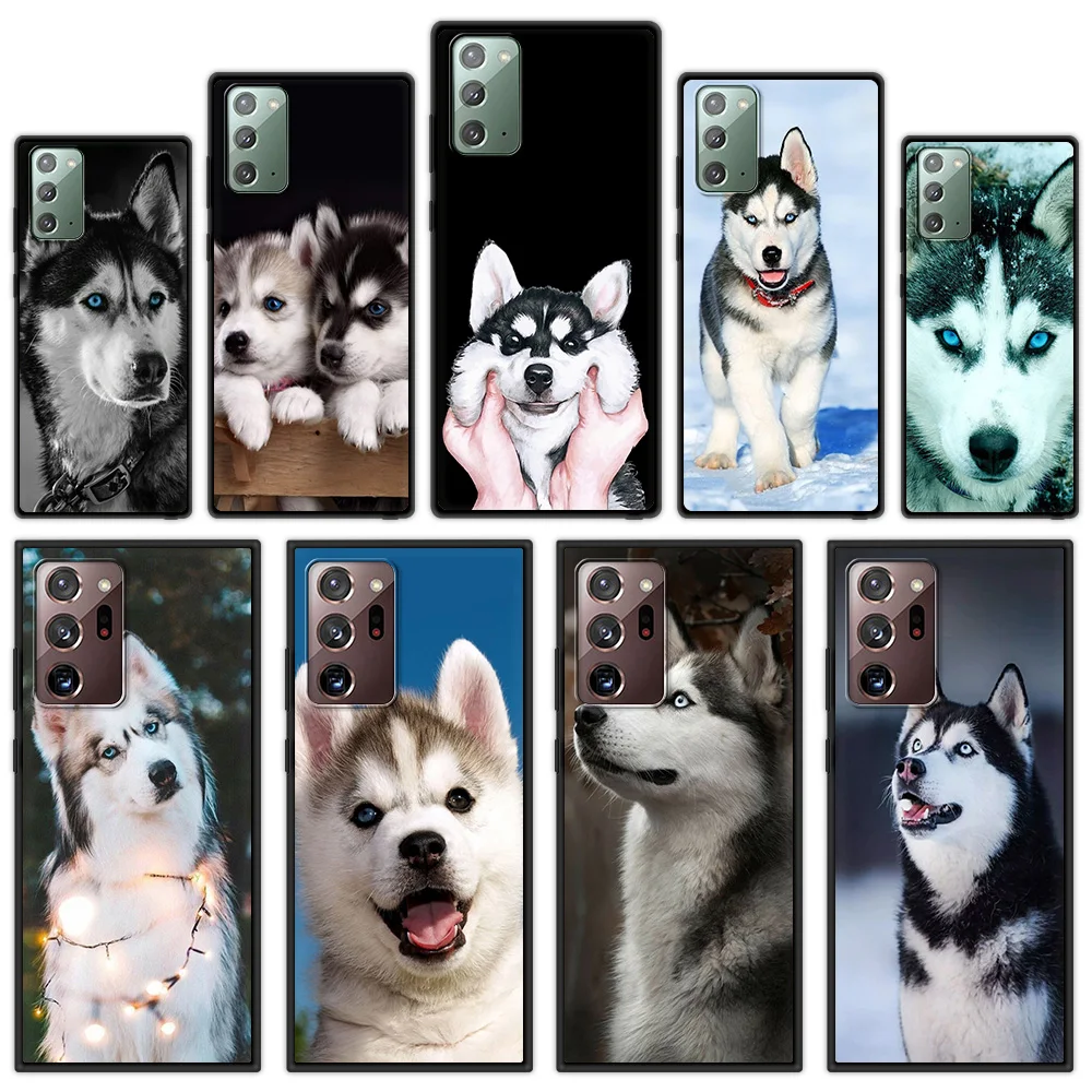 

Alaskan Husky Dog Cute Puppy Phone Case For Samsung Galaxy Note 10 Lite 20 Ultra 10 Plus Soft Black Cover For M31 Shell funda