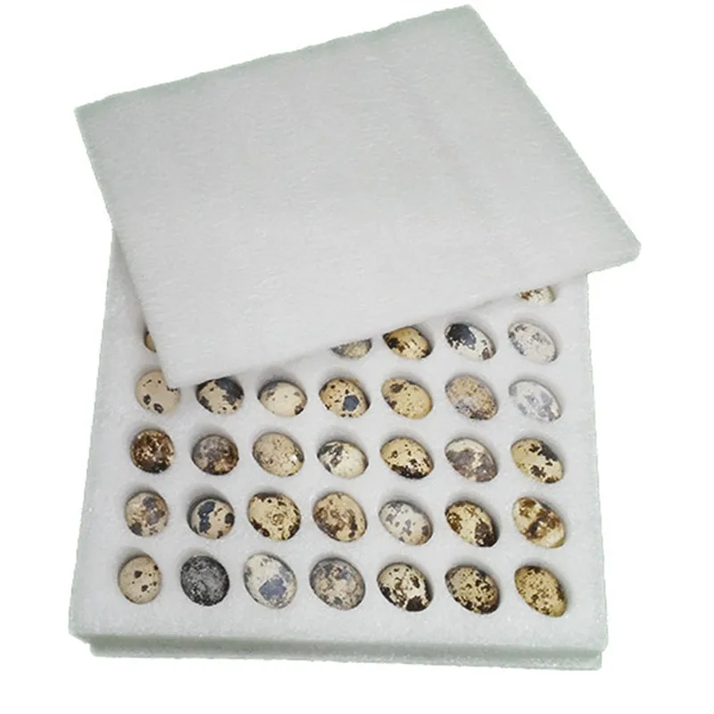 

Пеной из терполимера тфэ, гфп и перфторалкилвинилэфира 42 Отверстия маленькой птичкой на рукаве/перепелиные яйца/голубиные яйца упаковочны...