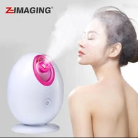 mini nano household humidifier negative ion hydrater steamer skin care tools facial machine moisturizing hydrating clean pores