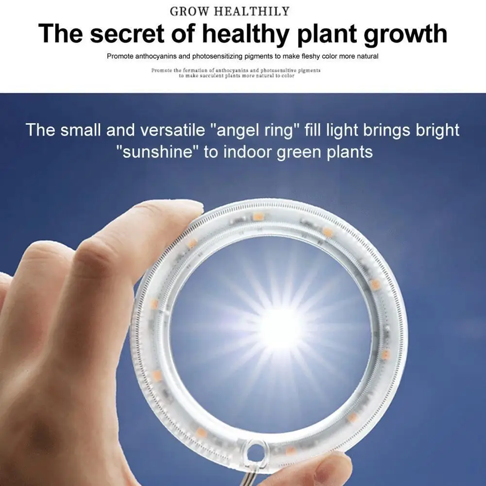 

LED Plant Grow Light Full Spectrum Phyto Lamp Fill Plant Angel Growth Simulated Lamp Succulent Ring Sunlight Indoor Plant L S1K0