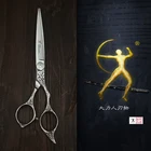 Титановые Парикмахерские ножницы 6,0 дюйма, парикмахерские ножницы, Профессиональные Парикмахерские ножницы jappan 440c Стальные