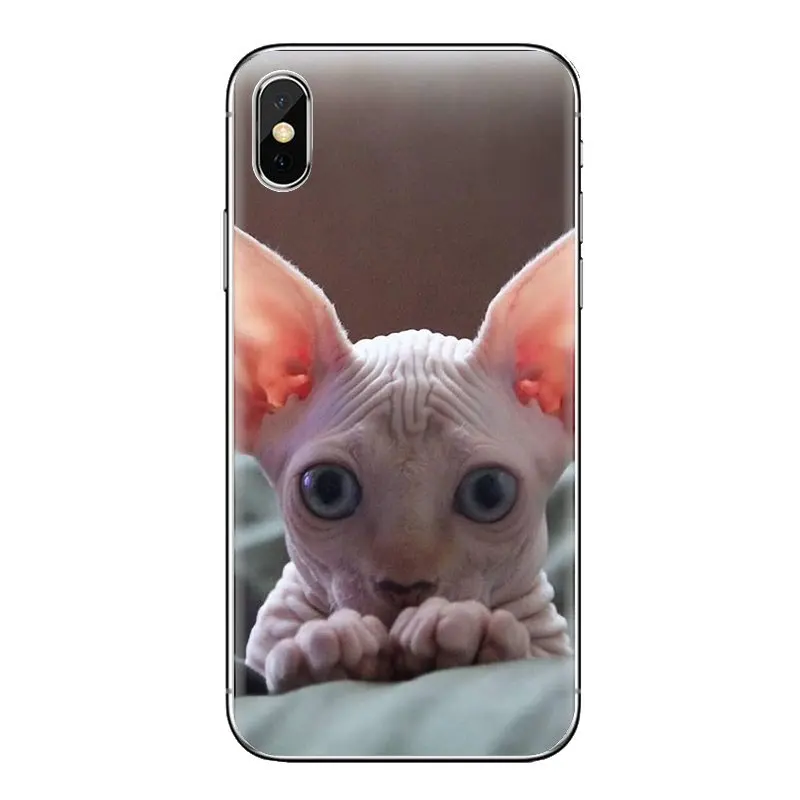 Кошка Сфинкс kitty для iPhone XS Max XR X 4 4S 5 5S 5C SE 6 6S 7 8 плюс samsung Galaxy J1 J3 J5 J7 A3 A5 прозрачный