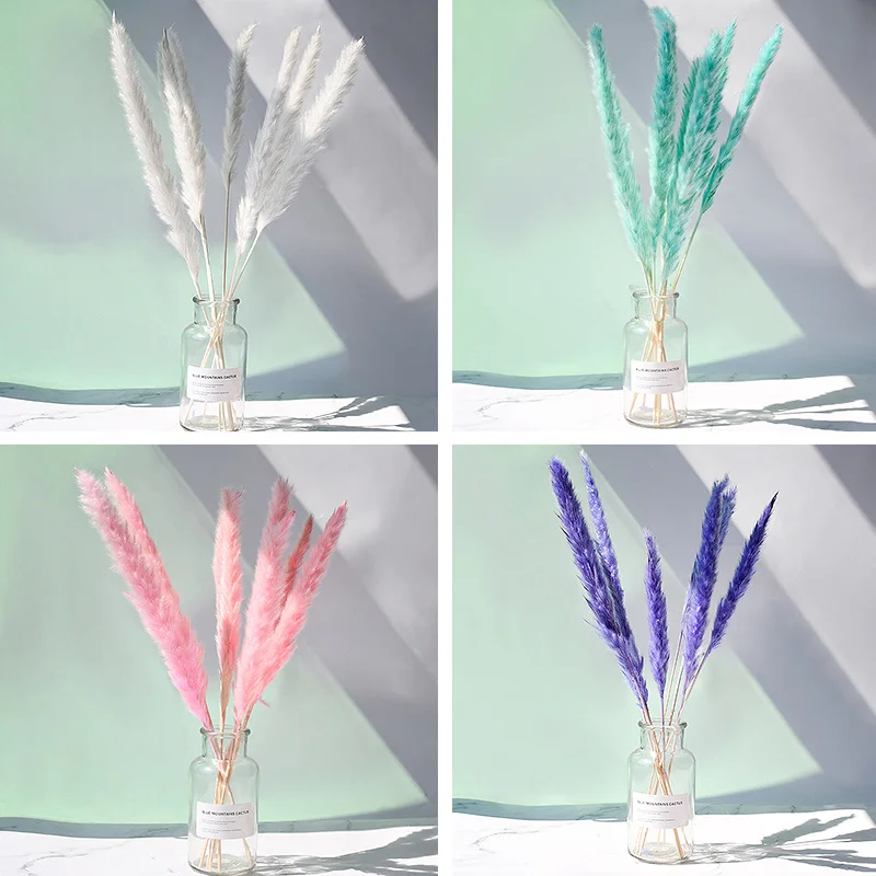 15 шт. натуральные сухие небольшой Рид пампасной травы Искусственные цветы Phragmites