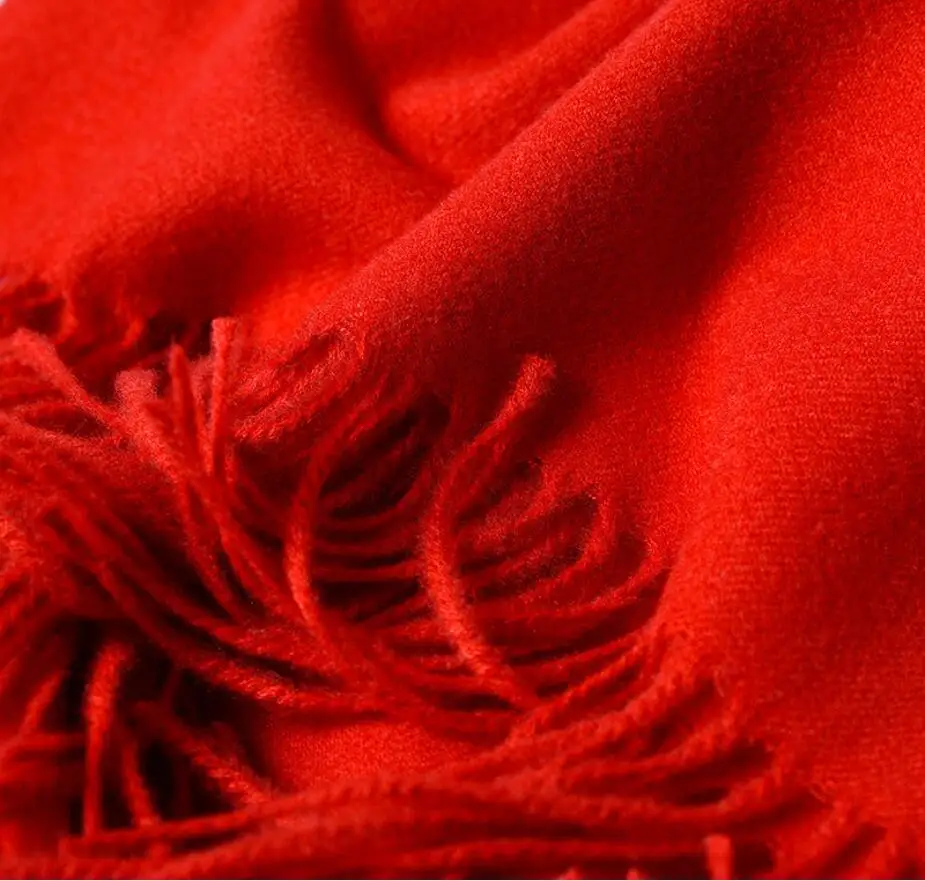 

Daisy Cashmere Women Scarf Warm Shawls Foulard Femme Pashmina Kerchief Wool Stole Head Neck Long Winter Scarf Women For Ladies