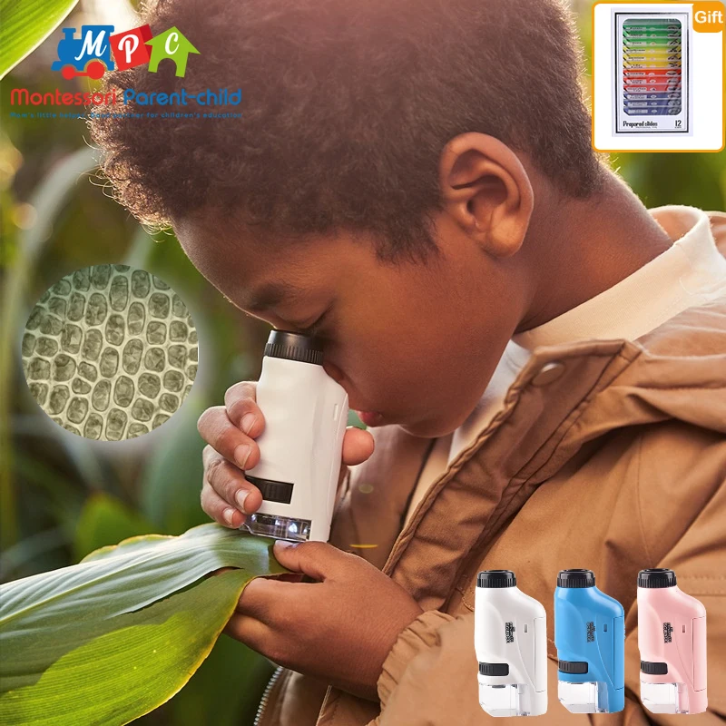 

Ручной микроскоп в комплекте, лабораторный светодиодный светильник 60X-120X, домашняя школа, биологическая модель, детская игрушка, подарок