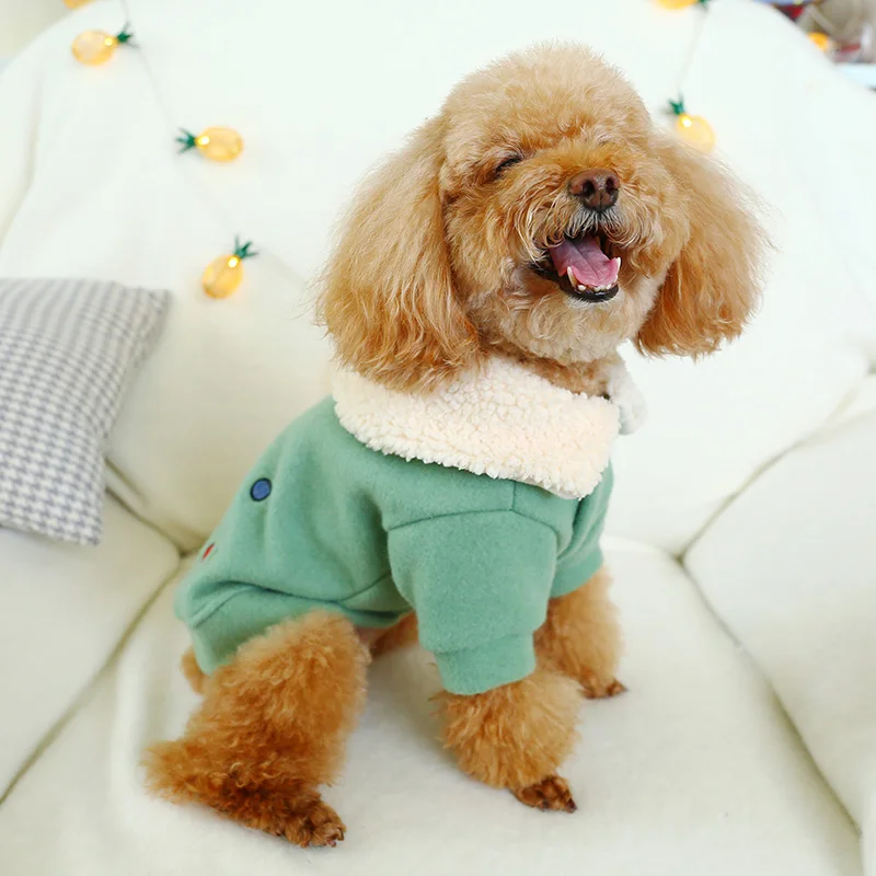 PETCIRCLE одежда для питомца Мишка Померанская Одежда собак осенне зимняя утепленная