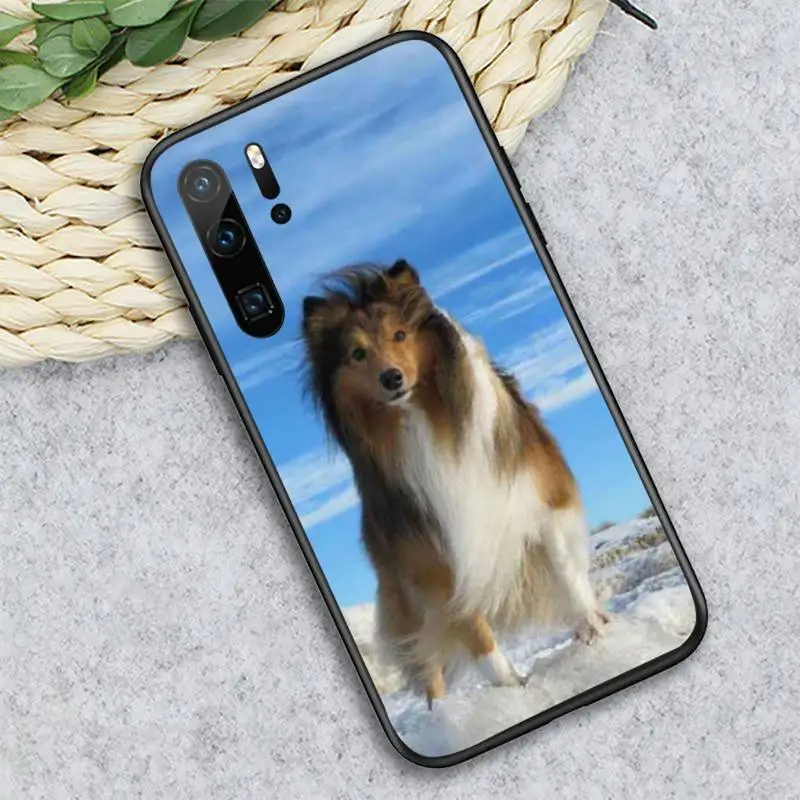 

Funny Animal Sheltie dog Phone Case For Huawei honor Mate P 10 20 30 40 i 9 8 pro x Lite smart 2019 nova 5t