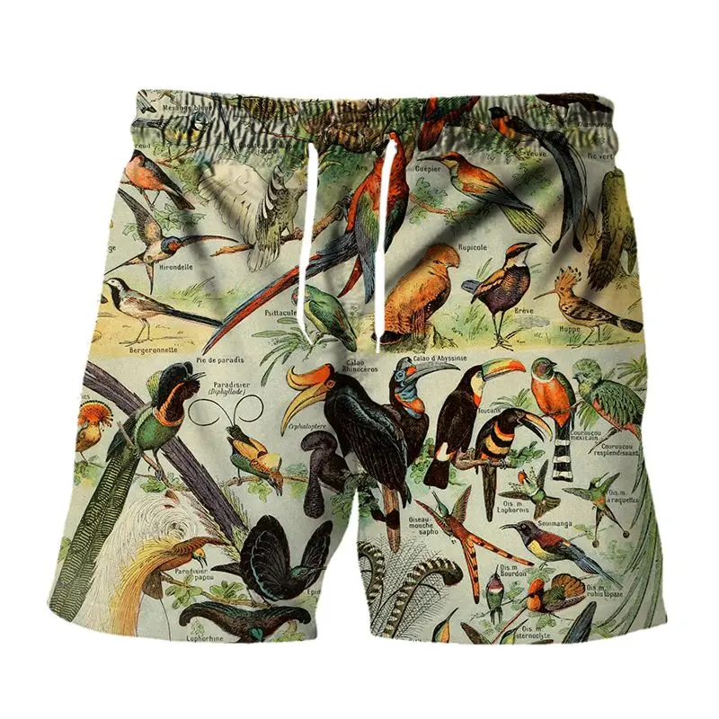 

vintage butterfly shorts casual sport 3d print streetwear men oversized fashion harajuku clothing summer running sweatpants