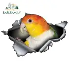 Забавная ржавая наклейка для автомобиля EARLFAMILY, 13 см х 8,4 см, ржавая, металлическая наклейка, светоотражающая виниловая наклейка с птицами, индивидуальное украшение автомобиля