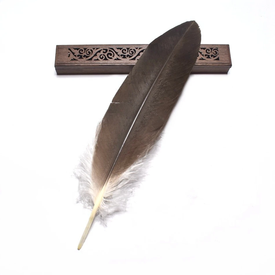 

10pcs/lot DIY Party feather Plumes wedding Christmas decoration Home natural long Eagle bird Feathers for crafts jewelry 35-40cm