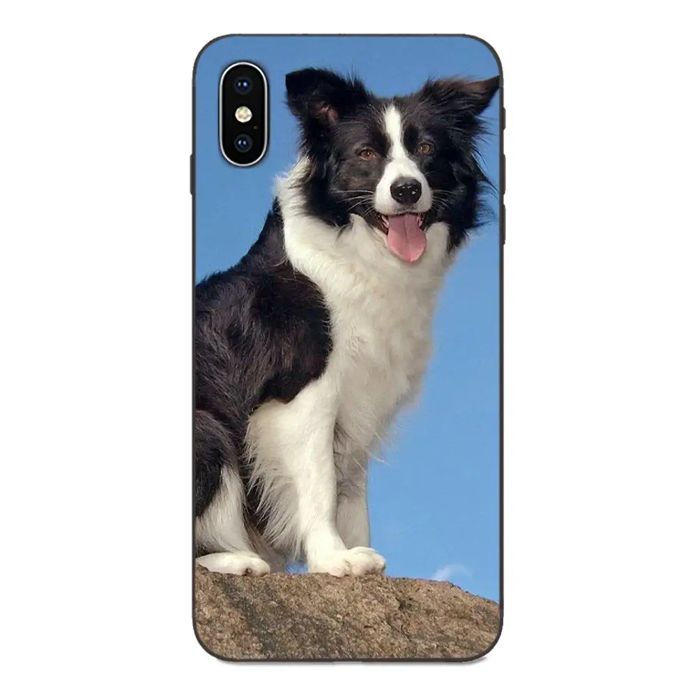 TPU Screen Protector For Galaxy A10S A20S A2 Core A30S A40S A50S A70S A90 5G M10 M30S M40 Note 10 Plus Border Collie Dog | Мобильные