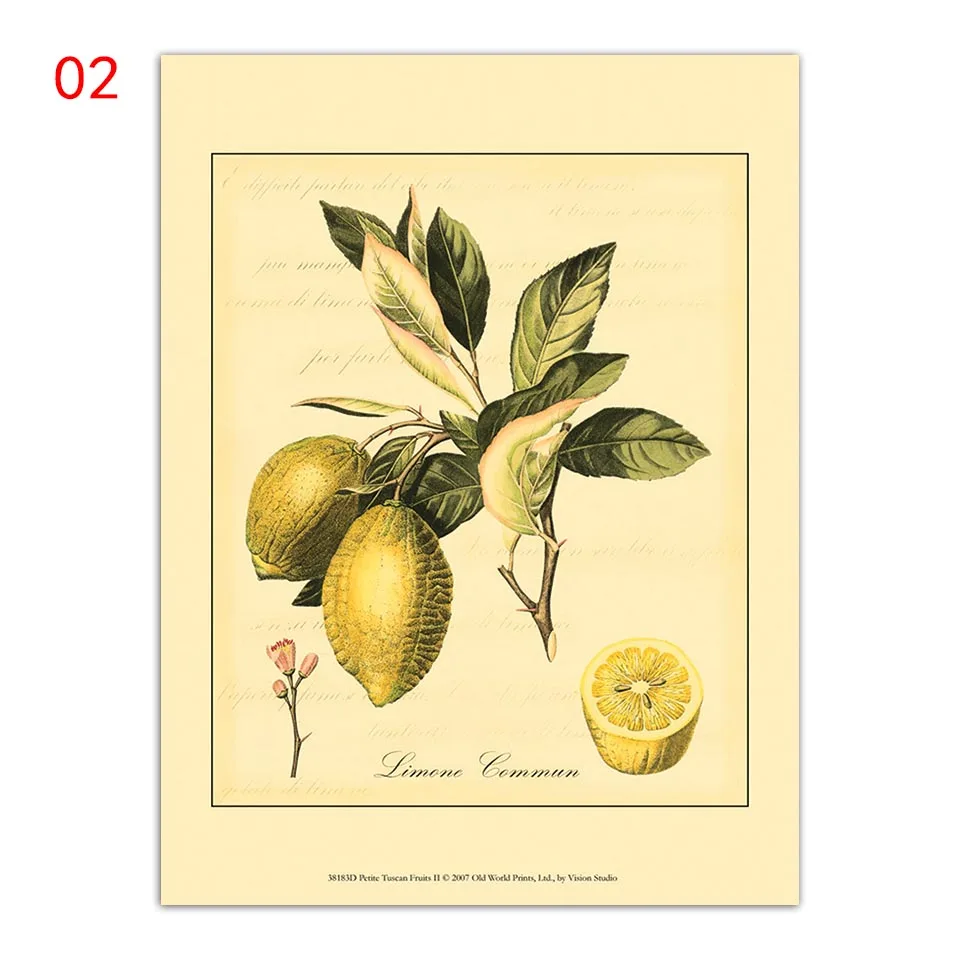 Фруктовые растения дерево Тыква Лимон Апельсин груша Искусство гостиная