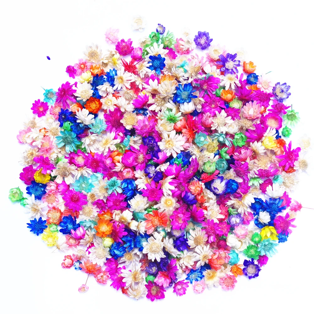 

300pcs Real Dried Flowers Rose Diy Craft Epoxy Resin Candle Stuffing Making Jewellery Home Party Wedding Decorative Dry Flowers