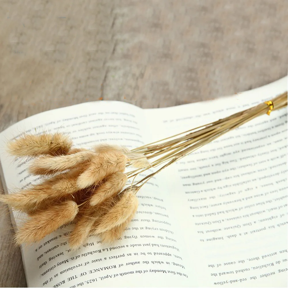 50pcs dried natural flower bouquets raw color Lagurus ovatus bouquets&ampUraria picta&ampraw rabbit tail grass bunches | Дом и сад