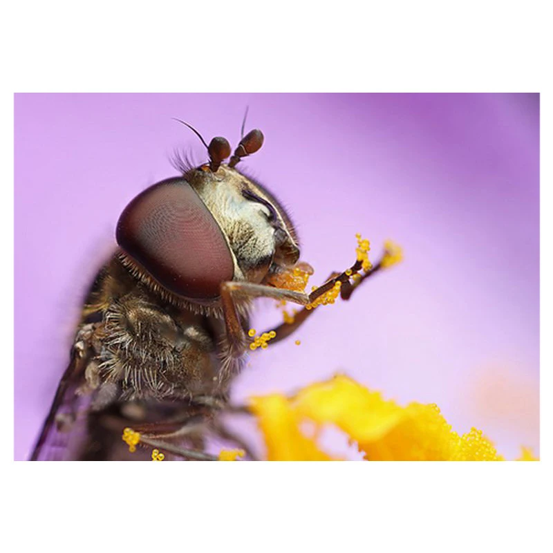 Макро AF металлический Удлинитель Набор Автофокус ttl экспозиция 12 мм 20 36 комплект