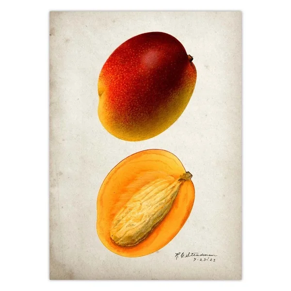 

Fresh fruit market logo, metal peach can, 8X12 inch, retro, farm, organic fruit, home, kitchen, bar, bar wall decoration