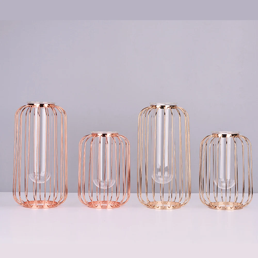 

Glass Flower Vase with Lantern Shape Metal Rack Stand Bud Glass Vases for Flowers Hydroponics Plant Flower Plant Horticulture