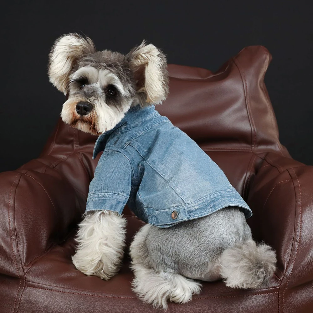 

Poodle Fashion denim jacket Dropshipping PC1498 XS-2XL