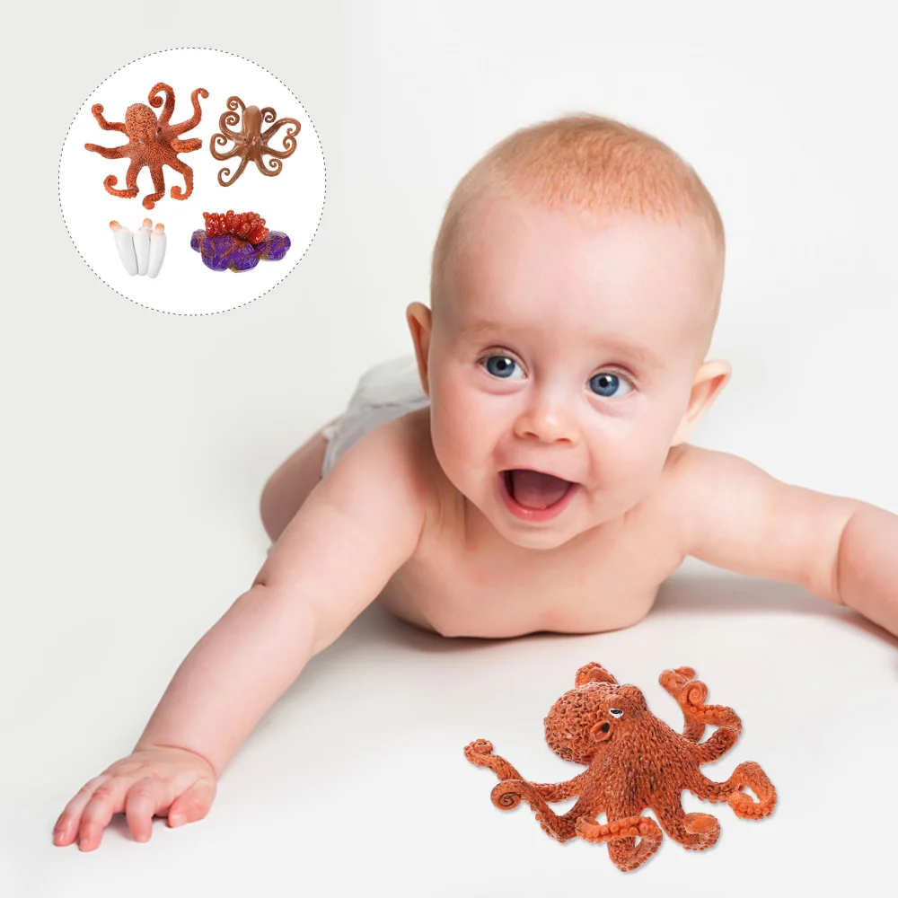 

1 Set Octopus Life Cycle Model Insect Growth Display Ornament Educational