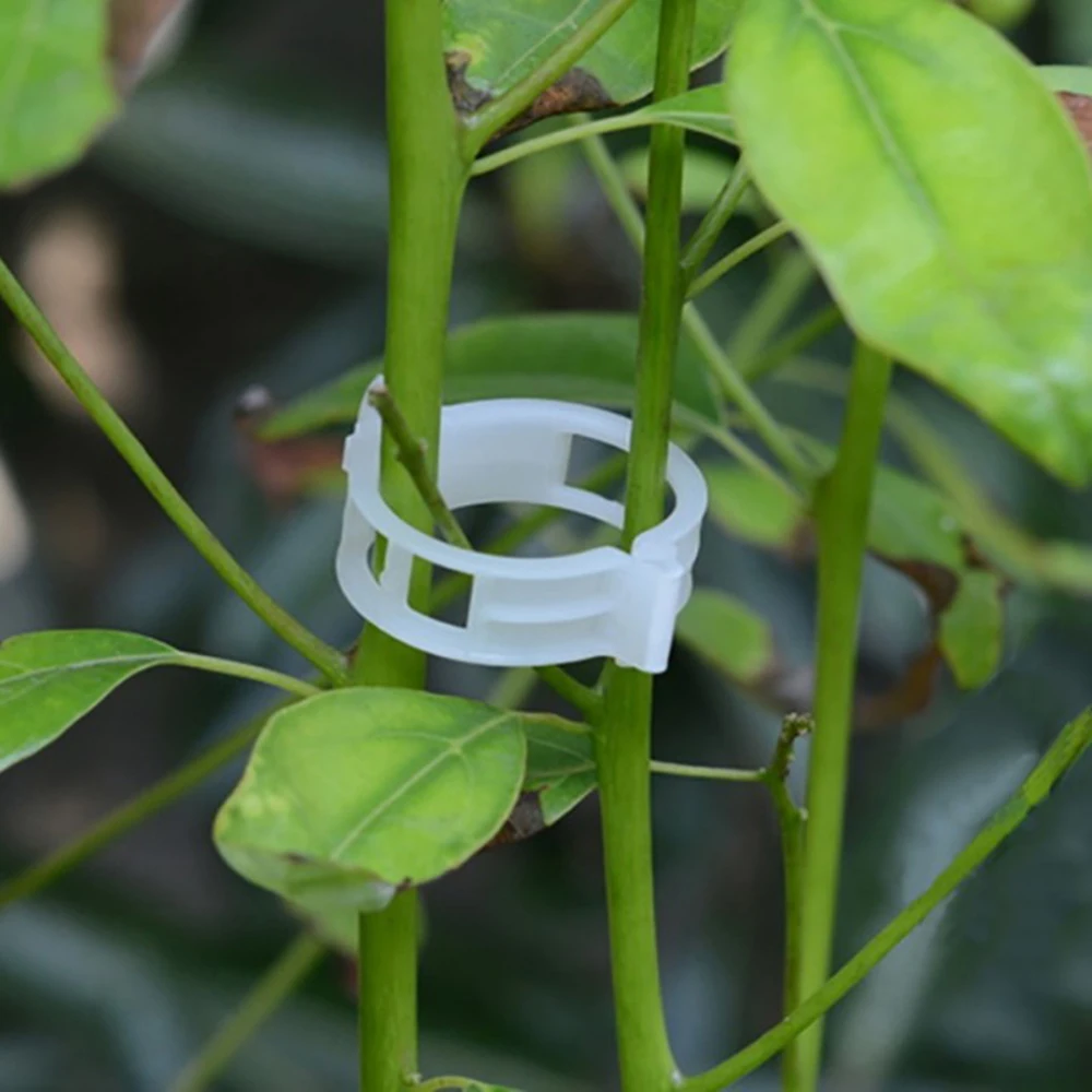

Twine Plant vine clips Greenhouse 100pcs Plastic 23mm Tomato Veggie Garden