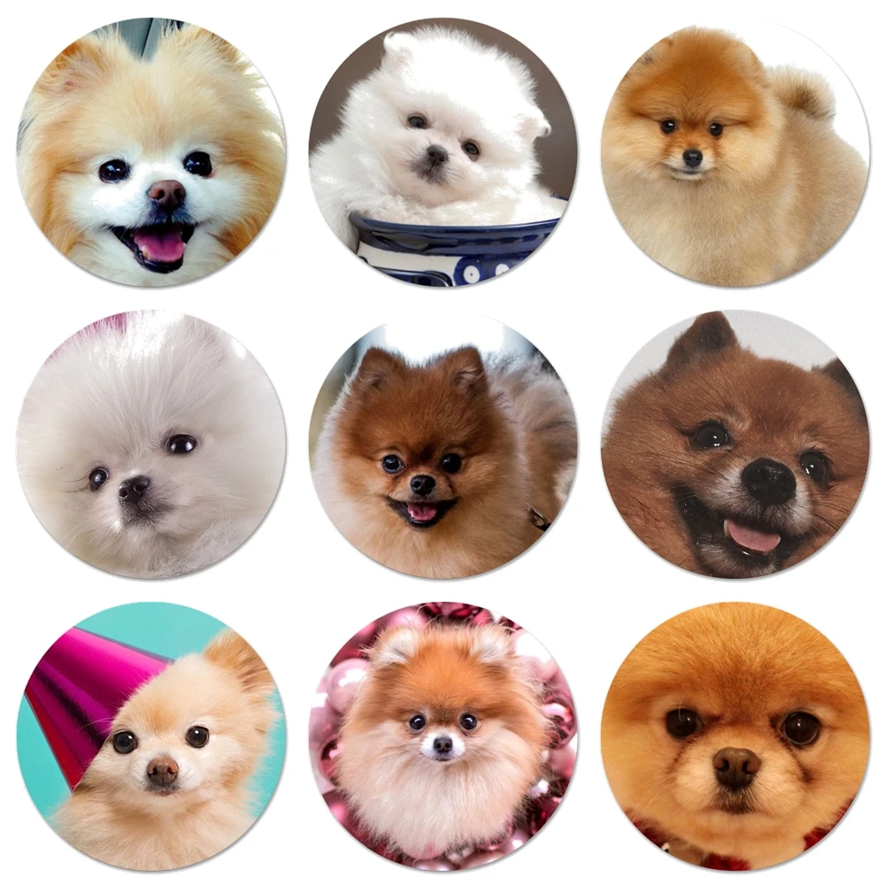 Своего померанского шпица собаки значок с собакой брошь заколка аксессуары для