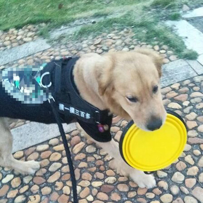 

1000ml Large Collapsible Dog Pet Folding Silicone Bowl Outdoor Travel Portable Puppy Food Container Feeder Dish Bowl