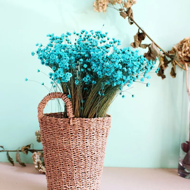 200 шт. декоративные сушеные мини цветы в виде маргариток маленькие Звездные