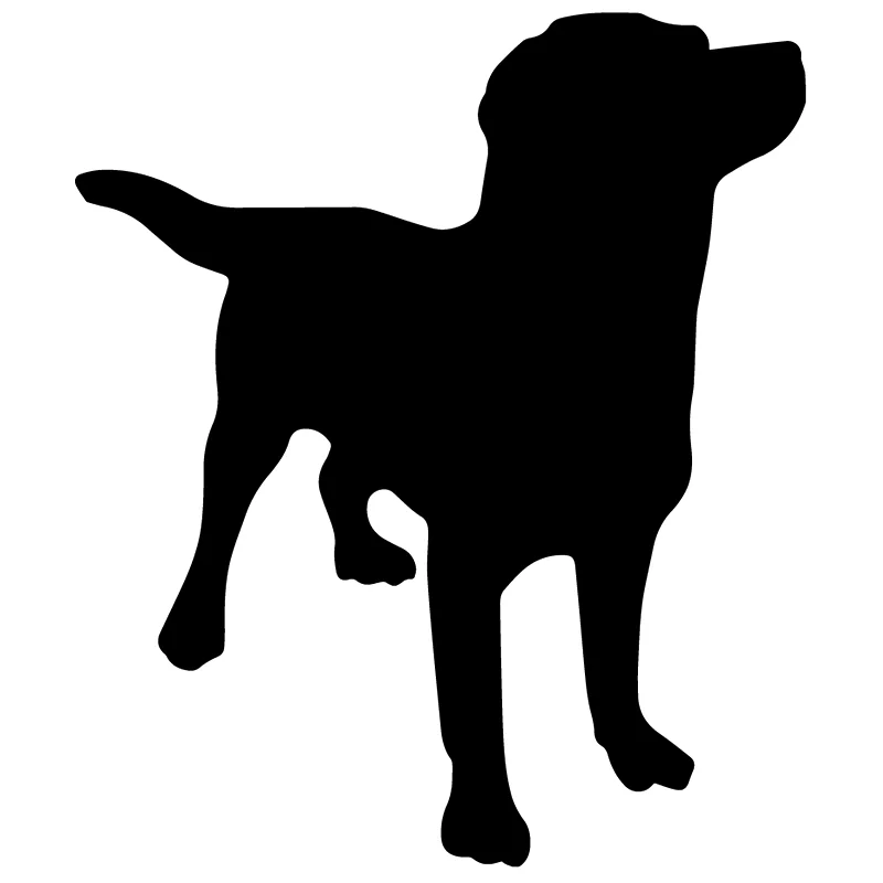 15*12 8 см Лабрадор наклейка веселый автомобиль окно бампер Новинка дрейф JDM