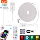 DC 12V WiFi RGB светодиодный светильник, Tuya Smart life App Control, гибкий неоновый светильник, музыкальная неоновая вывеска, Водонепроницаемая Светодиодная трубчатая лента