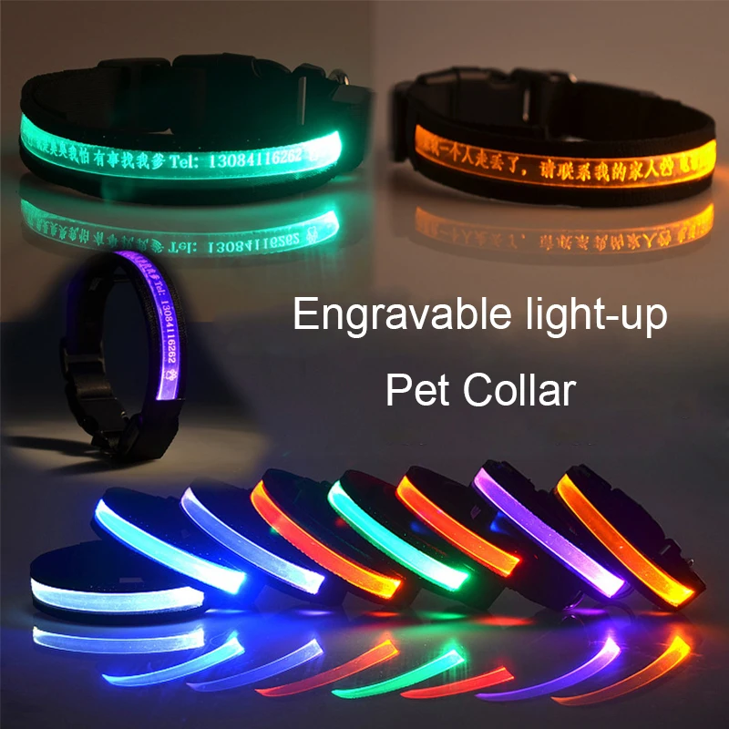 

Красочные светодиодсветодиодный ошейники для домашних животных с надписью, изготовленные на заказ наборы для собак, флэш-ошейники для соба...