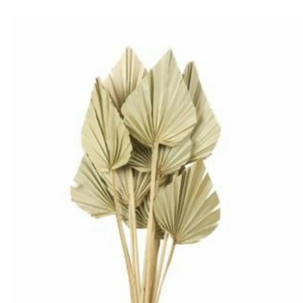 10 unids/set secos Palm Spears hojas de palma secas hojas de palma flores DIY decoraci&oacute;n de oficina KYY1539-1