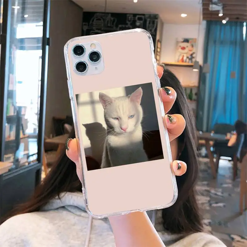 

cat animal cute Phone Case Transparent for iPhone 6 7 8 11 12 s mini pro X XS XR MAX Plus se cover funda shell